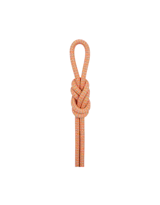  Baum domänen seil HT-S011