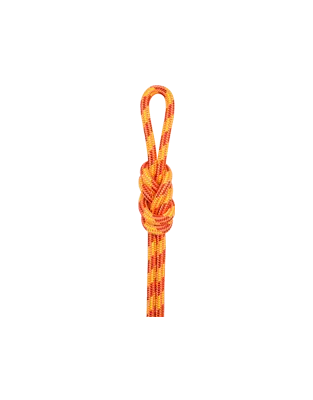  Baum domänen seil HT-S012